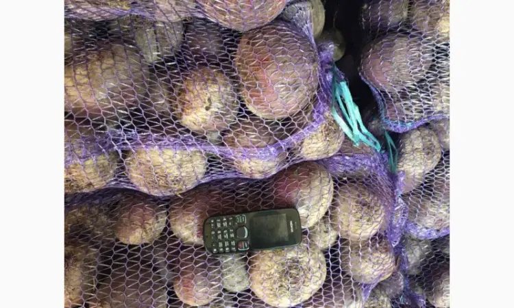 Продажа оптом товарной свеклы - фото № 1