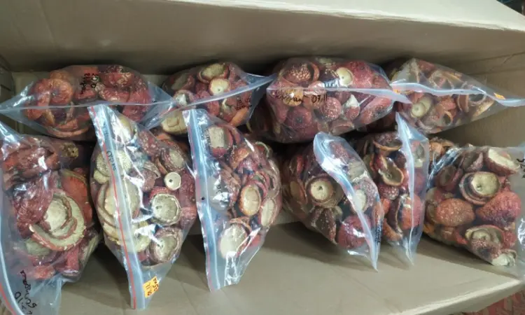 АКЦИЯ10% молотого в ПОДАРОК!!! КтоПРОДАМ Красный мухомор.2.5 грн/грамм 2025года - фото № 7