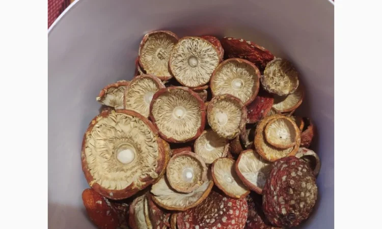 Мухомор червоний сушений, 1 сорт - фото № 1