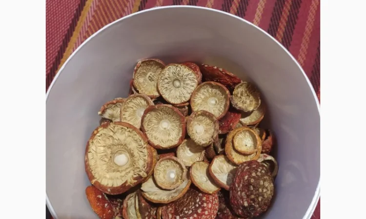 Мухомор червоний сушений, 1 сорт - фото № 3