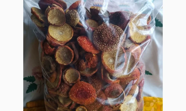 Мухомор червоний сушений, 1 сорт - фото № 4