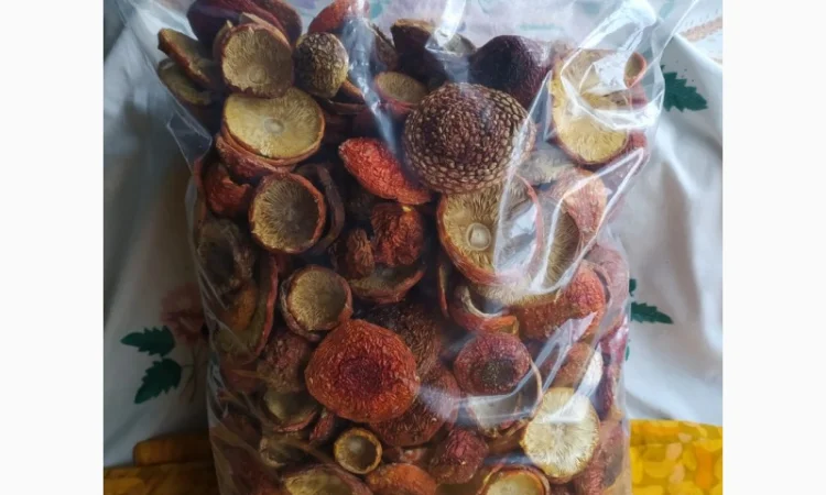 Мухомор червоний сушений, 1 сорт - фото № 5