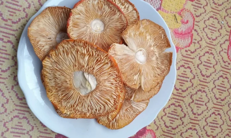 Мухомор сушений 1 сорту, шляпки розкриті - фото № 1