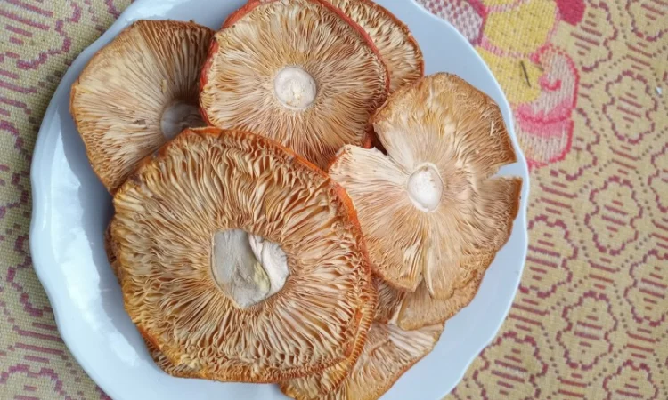 Мухомор сушений 1 сорту, шляпки розкриті - фото № 3