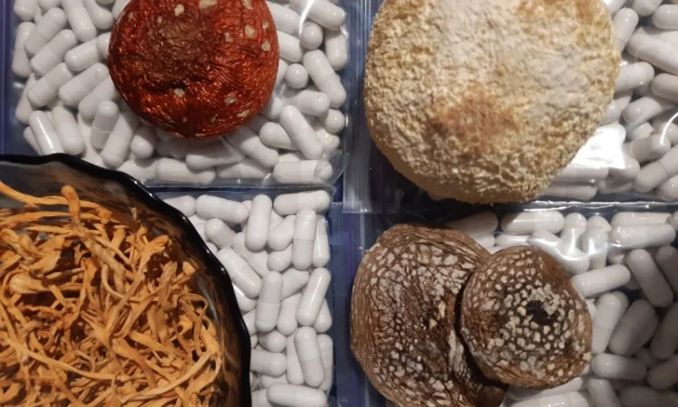 Продажа сушеного мухомора 1 сорта - фото № 5