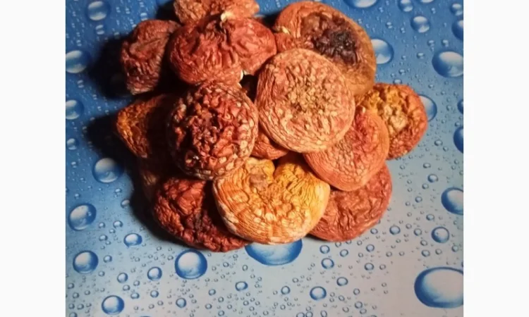 Сушені шляпки червоного мухомора на продаж - фото № 1