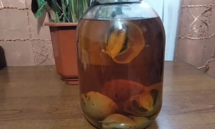Продажа сушеного Красного мухомора - фото № 2