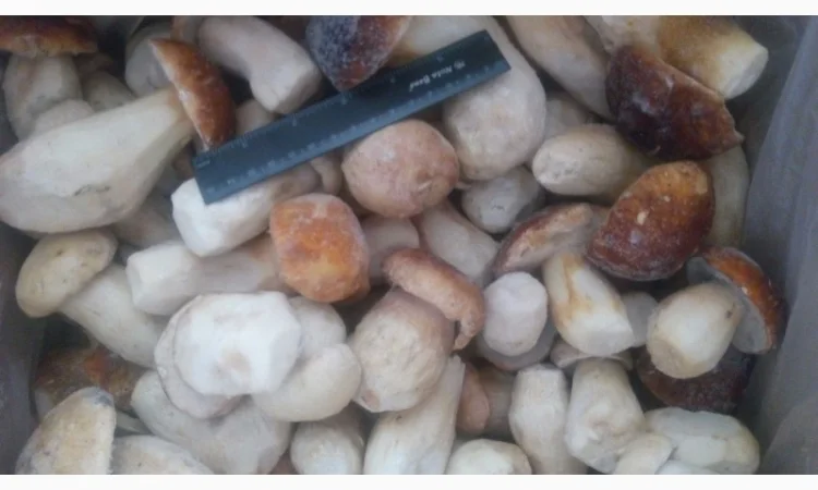 Продаж білих грибів шокової заморозки - фото № 1
