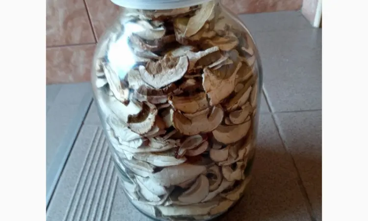 Продажа белых грибов - фото № 2