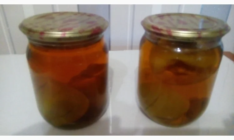 Гриб Веселка на продажу - фото № 8