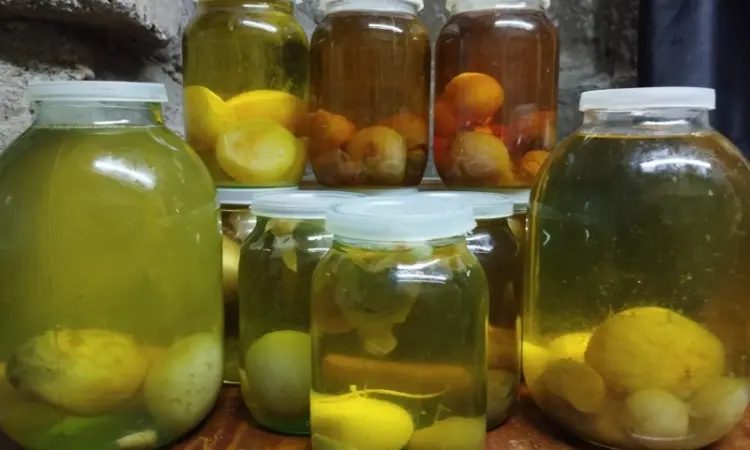 Гриб Веселка панна 1л на продажу - фото № 2
