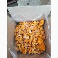 Сушені лисички гриби на продаж - фото № 2