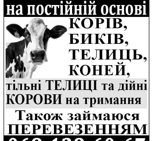 Закупка врх и продажа - фото № 1