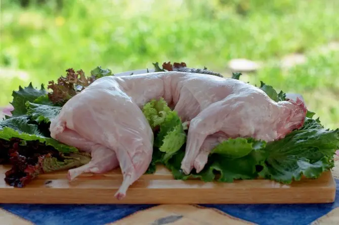 Продам мясо домашнего кролика - фото № 1