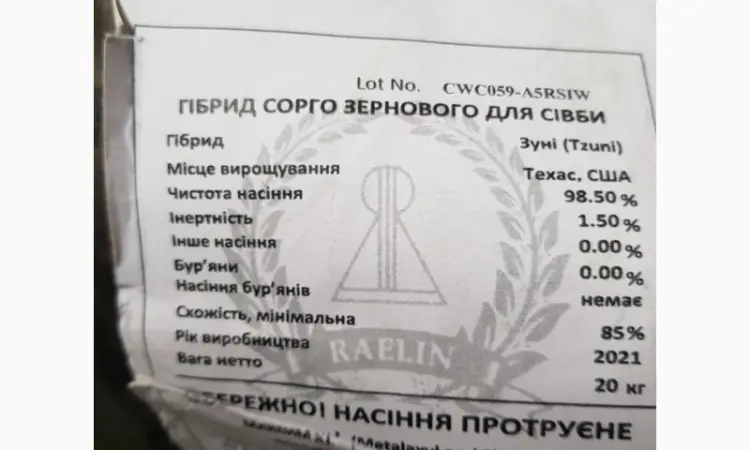 Зернове сорго Зуні - фото № 2