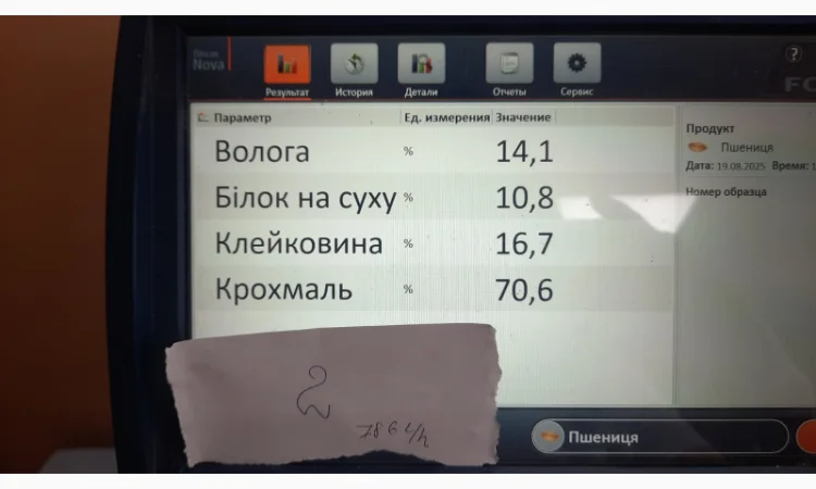Пропонується пшениця в кількості 30 тонн - фото № 1