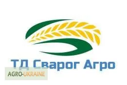 Насіння озимої пшениці Мирлена (еліта) для продажу - фото № 2