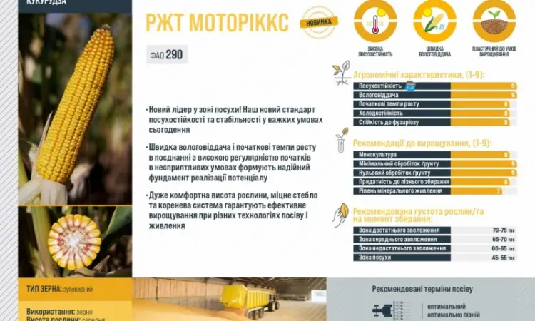 Насіння кукурудзи МОТОРІККС RAGT – продаж - фото № 2
