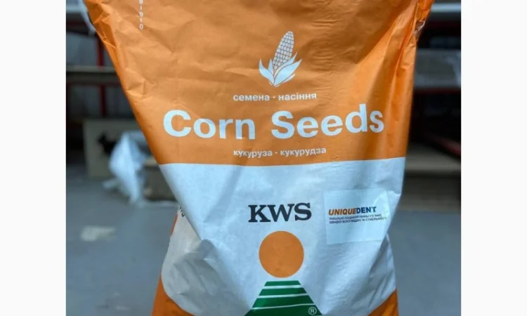 Насіння кукурудзи КВС Карпатіс - фото № 1
