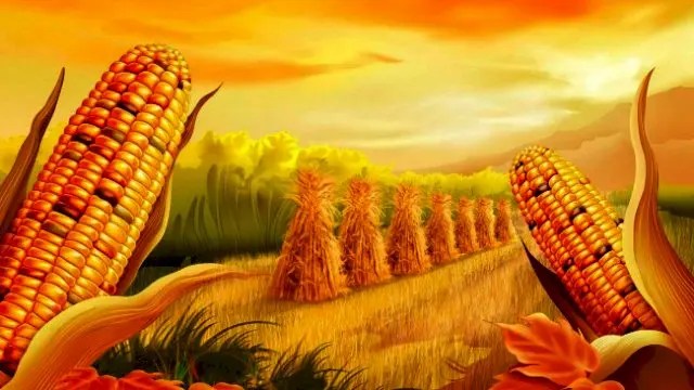 Закупівля некласної кукурудзи - фото № 1