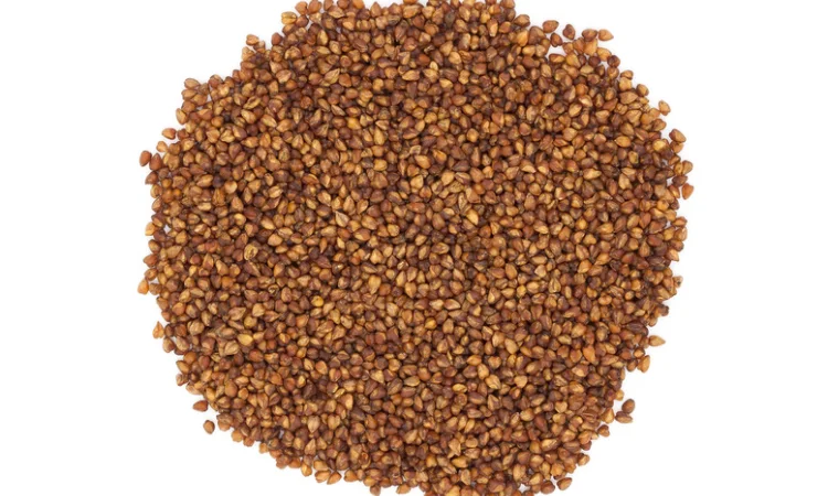 Гречка на експорт від виробника, від 20 тонн - фото № 1