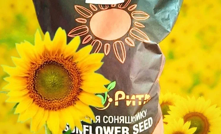 Соняшник Бомонд для гербицида Гранстар - фото № 1