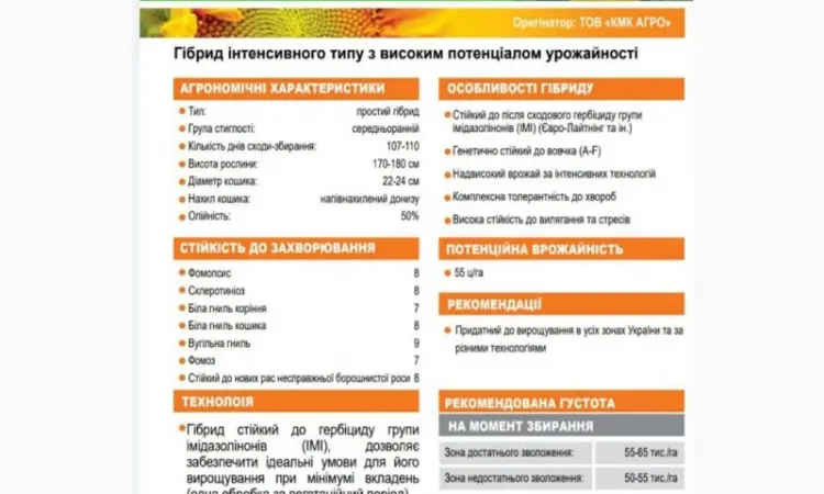 Пропонуємо насіння соняшника гібрид БАСТЕР - фото № 3