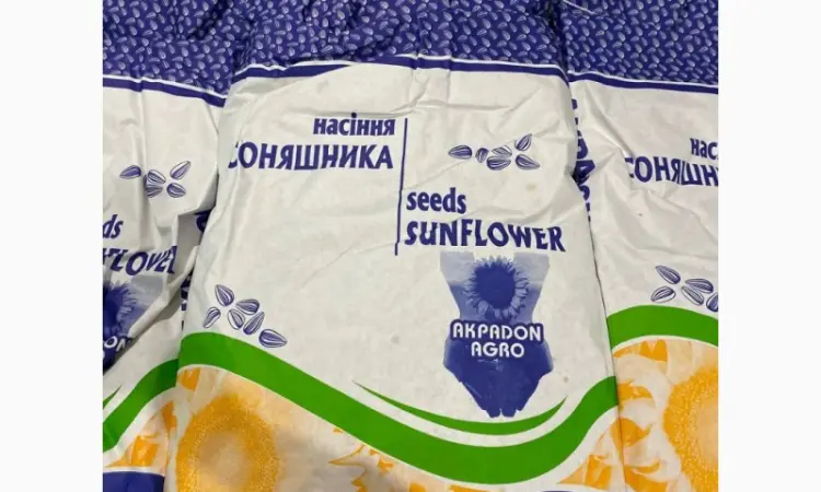 Насіння соняшника Азимут (Гранстар) – в продаже - фото № 1