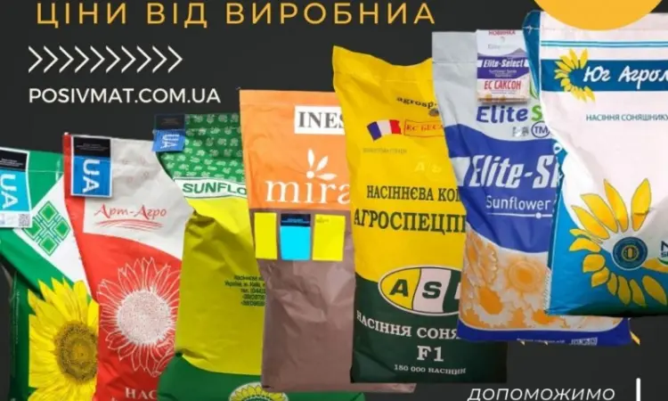 Насіння СОНЯШНИКА за цінами від виробника - фото № 1