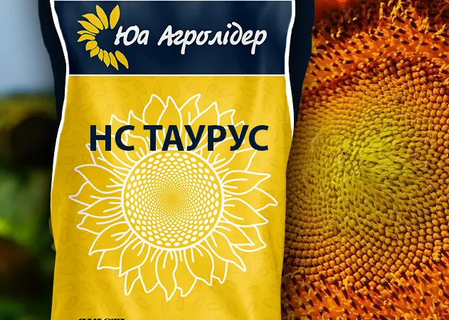 Насіння соняшнику на посів (імпорт, 2023, Сlearfield, Гранстар.) - фото № 3