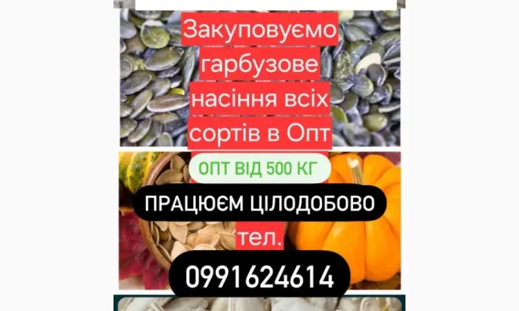 Куплю насіння гарбуза - фото № 1