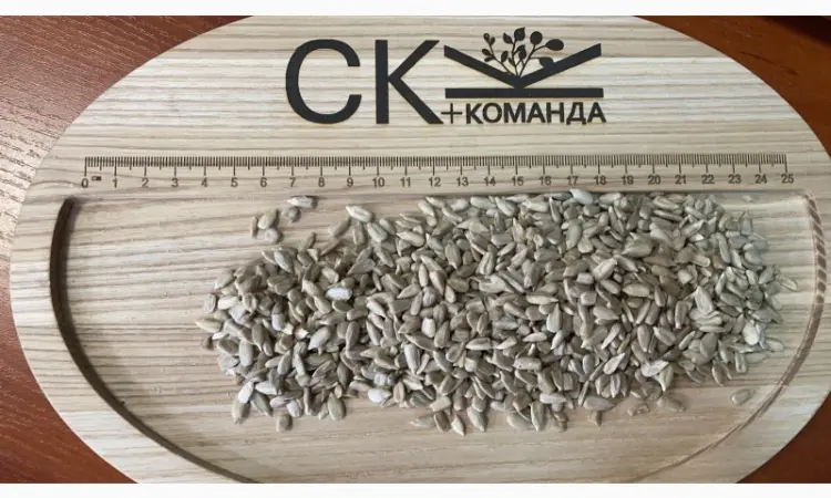 Продається льон коричневий та золотий база - фото № 14
