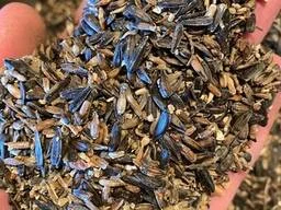 Закупаем Отходы от очистки масличных культур - фото № 1