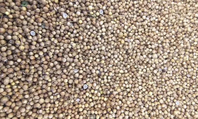 Коріандр дворучка сорт Оксаніт Еліта 1 репродукція - фото № 10