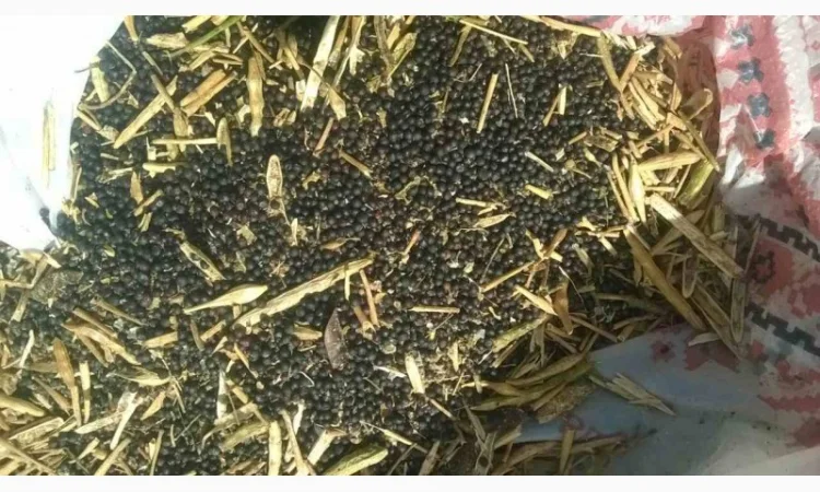 Куплю отходы кукурузы и сои - фото № 2