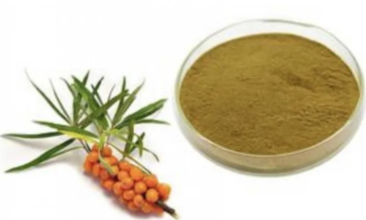 Продается порошок из облепихи - фото № 1