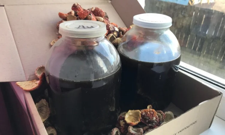 Настойка мухомора червоного - фото № 1