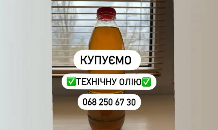 Оливу подсолнечное масло подсолнечное 1 сорт техническое колу покупаем - фото № 1