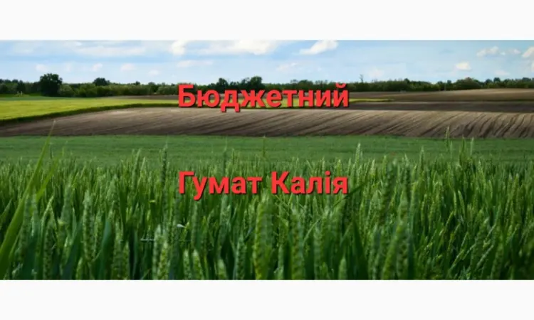 Гумат Калия из Биогумуса - фото № 1