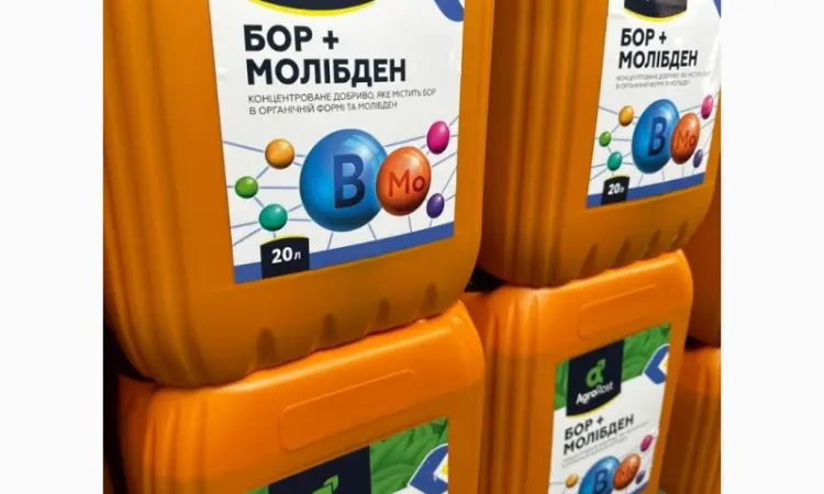 Бор + Молибден - концентрированное удобрение для внекорневой подкормки с/х культур - фото № 1