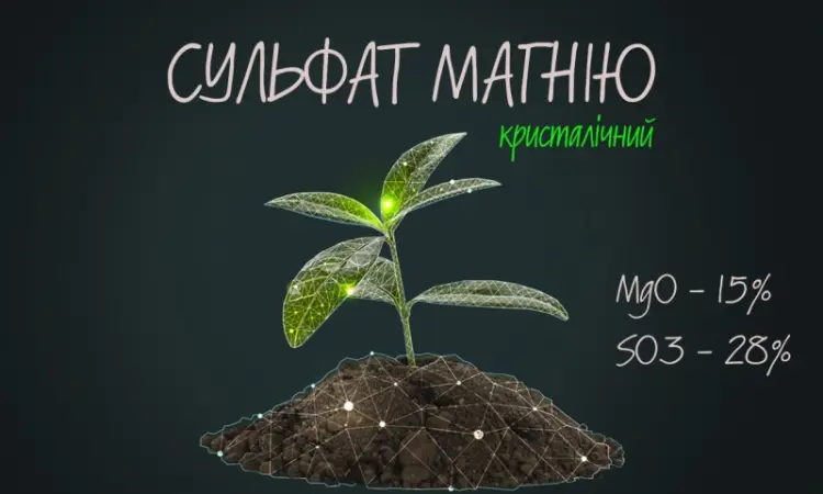 Сульфат магния кристаллический MgO - 15% SO3 - 28% (Сульфат магния) - фото № 1