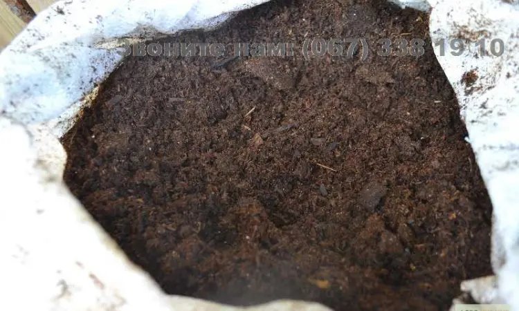 Конский перегной самое лучшее удобрение Перегной Киев Теремки Новоселки - фото № 1
