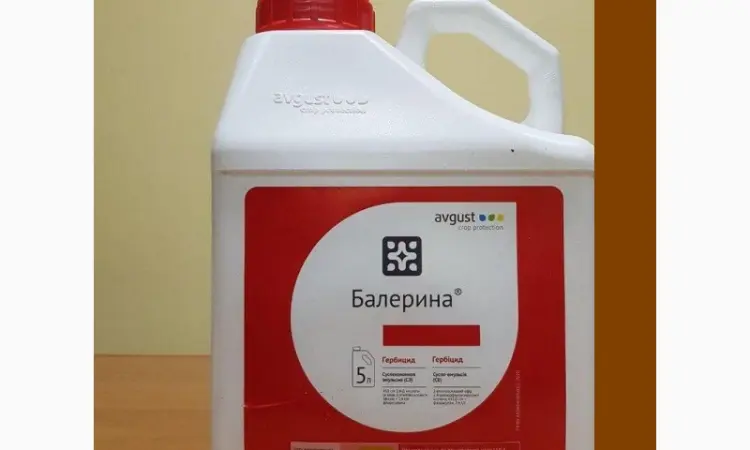 Балерина - системний гербіцид проти бур'янів в посівах зернових - фото № 1
