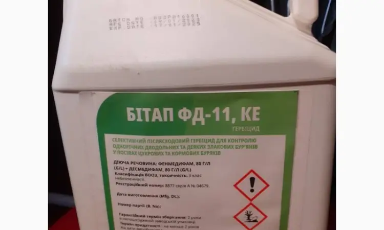 Битап ФД-11 - гербицид для борьбы с сорняками в посевах сахарной и кормовой свеклы - фото № 1