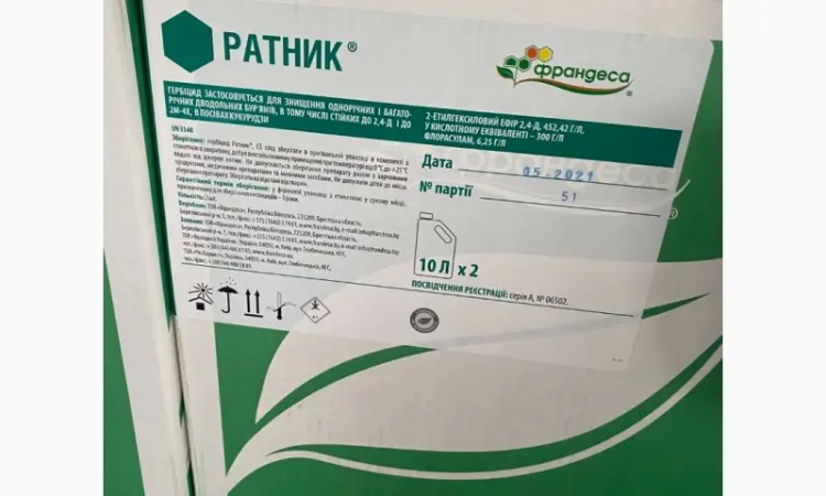 Ратник - фото № 1