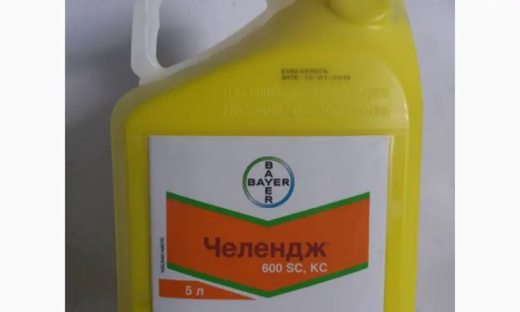 Гербицид для Подсолнечника Челендж - Байер по всходам против двудольных сорняков - фото № 1