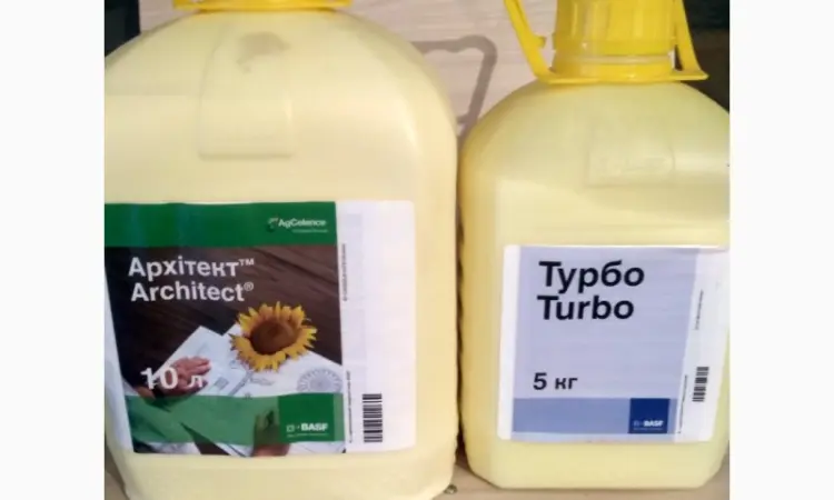 Архітект & Турбо- надійний захист від хвороб + генетичний потенціал соняшнику - фото № 1