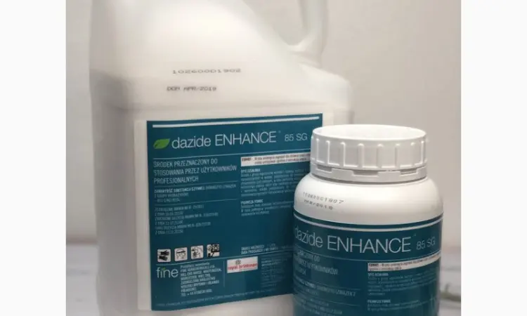 Dazide 85 SG (Дазиде) 500г – регулятор росту для хризантем - фото № 1