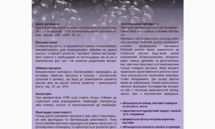 Стимулятор роста и урожайности ежевики «Колючкабери» - фото № 1