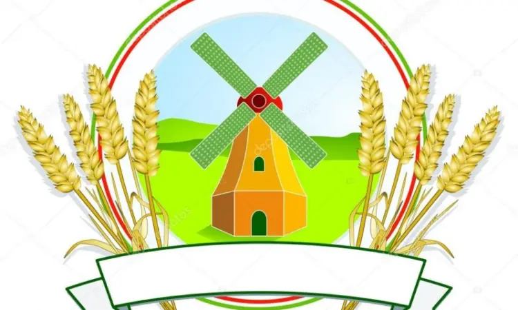 Продам висівки пшеничні, борошно В/С і 1С від виробника - фото № 3
